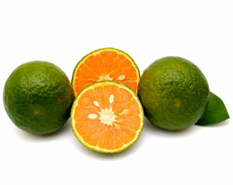 LIMON MANDARINO x Libra