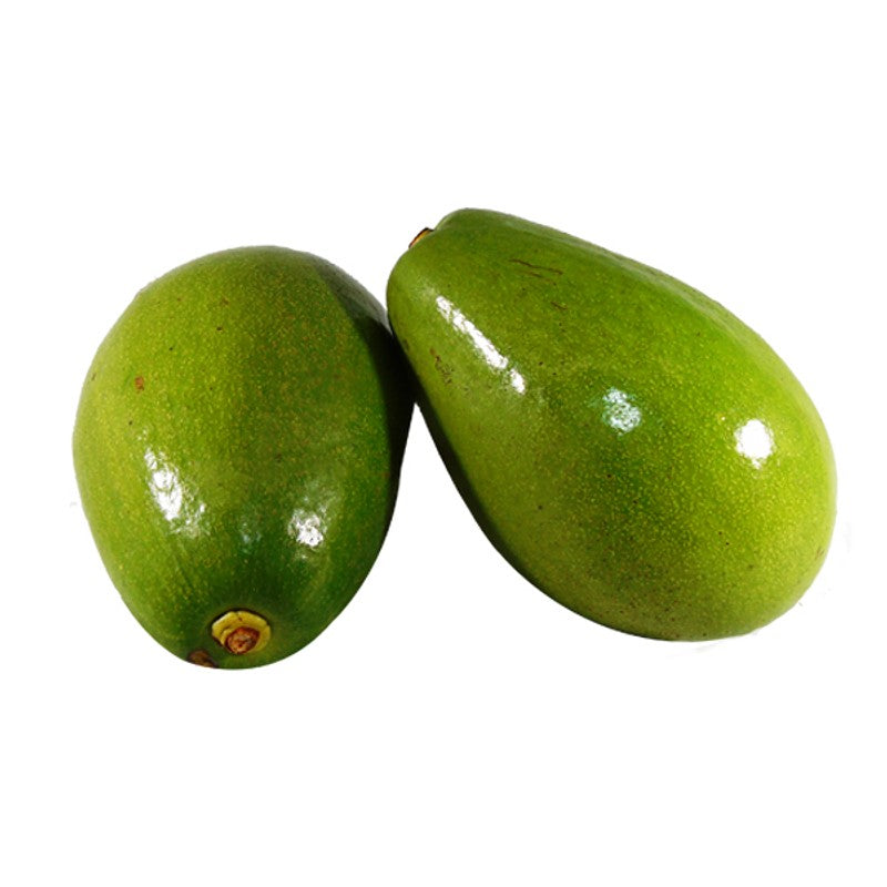 AGUACATE COMUN x Libra