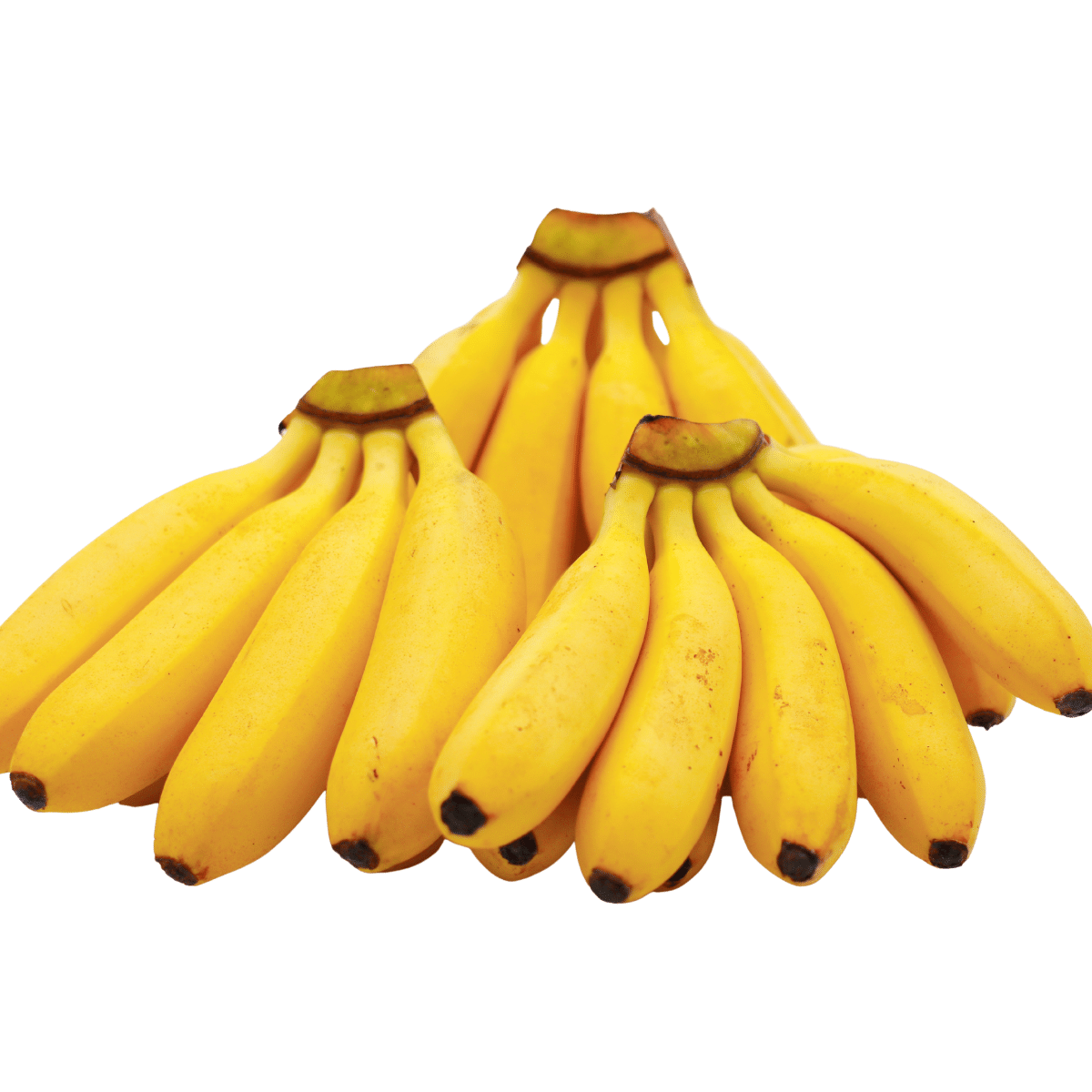 BANANO BOCADILLO x Libra