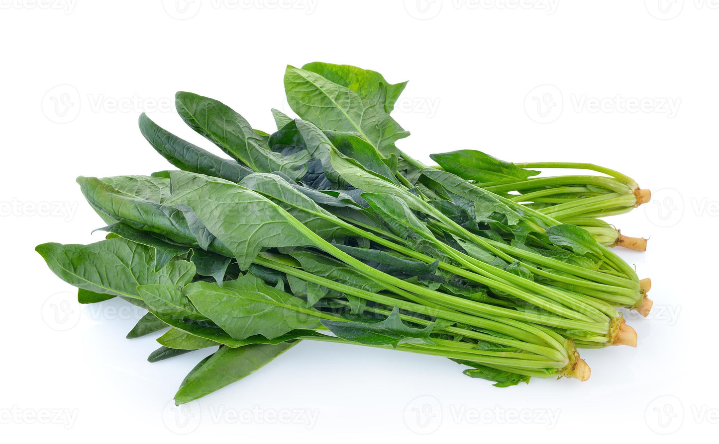 ESPINACA x Atado