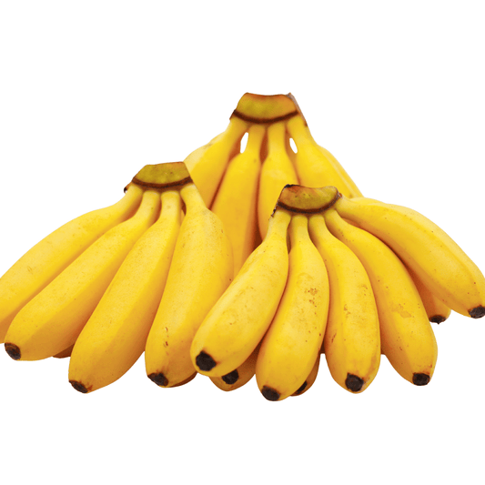 BANANO BOCADILLO x Libra