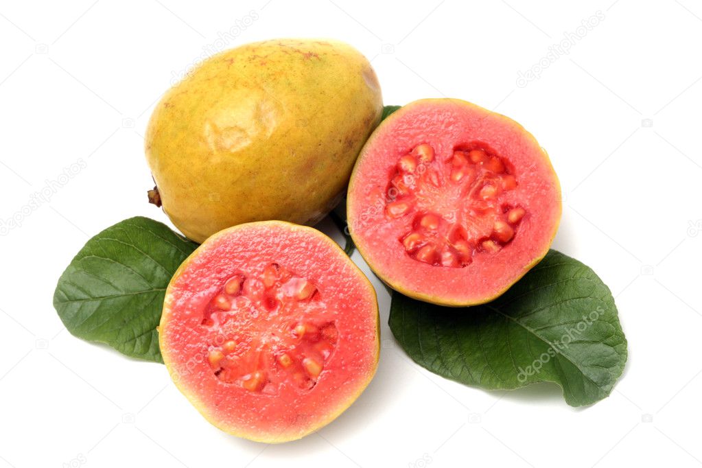 GUAYABA x Libra