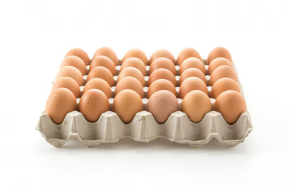CUBETA DE HUEVOS JUMBO x UNIDAD