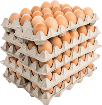 CUBETA DE HUEVOS JUMBO x UNIDAD